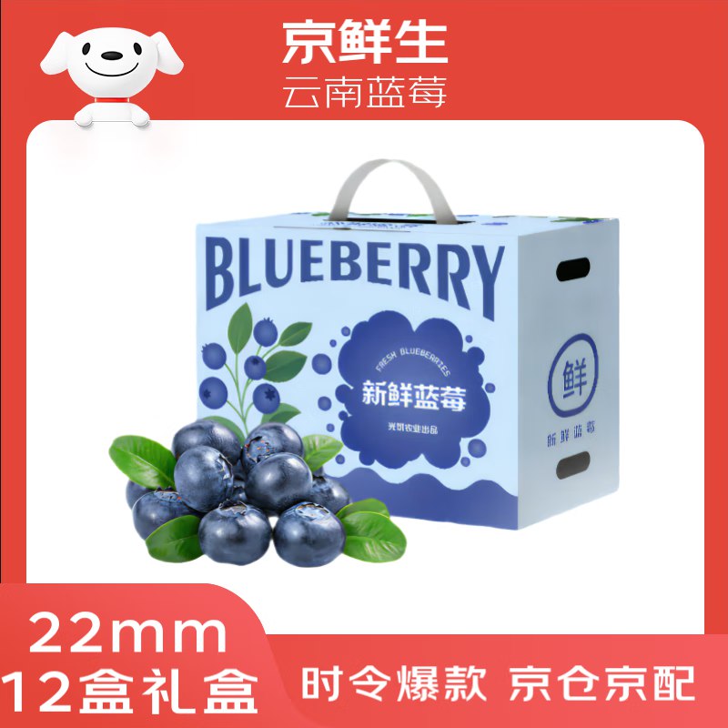 自营京鲜生 云南蓝莓超大果22mm+ 12盒装 125g/盒