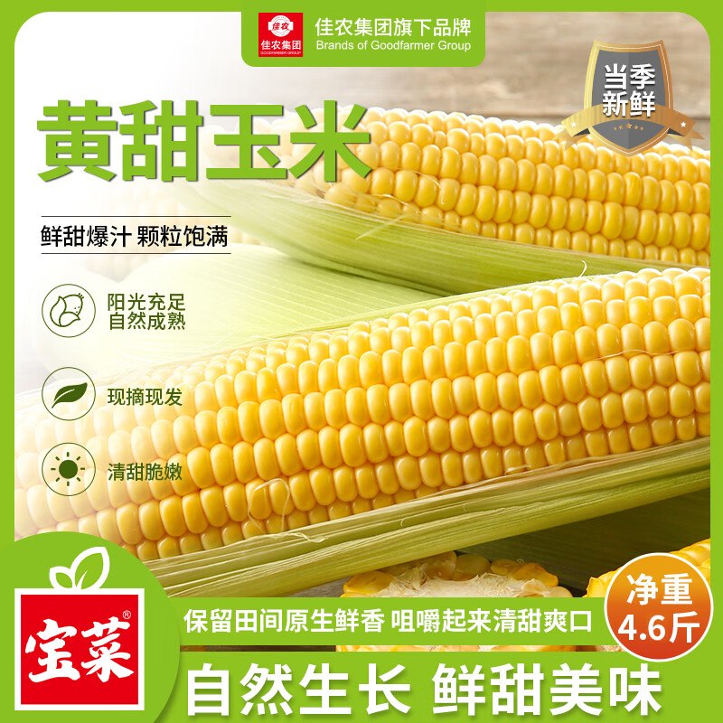 自营佳农宝菜 山东新鲜水果玉米净重4.6斤 单根300g+