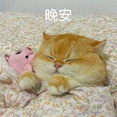 晚安宝们 睡觉啦 好梦~🌙愿你梦里有草原，醒来有坦途六六大顺，万事一马平川